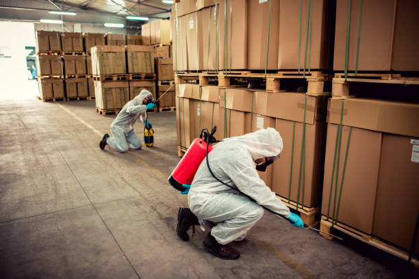 Best Best Pest Control Companies  in Ephraim, UT