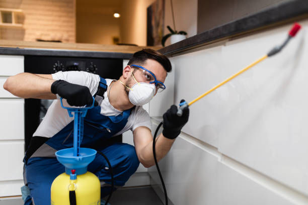 Best Best Pest Control Companies  in Ephraim, UT