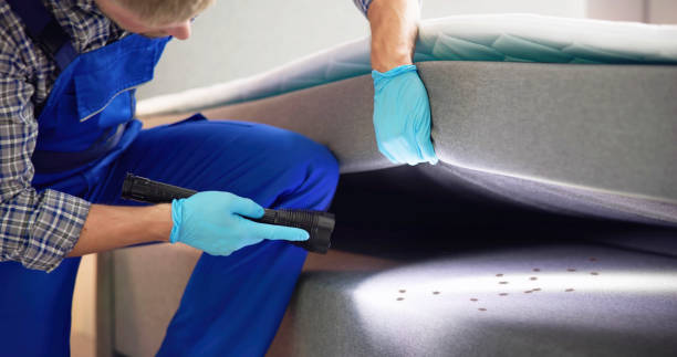 Professional Pest Control in Ephraim, UT