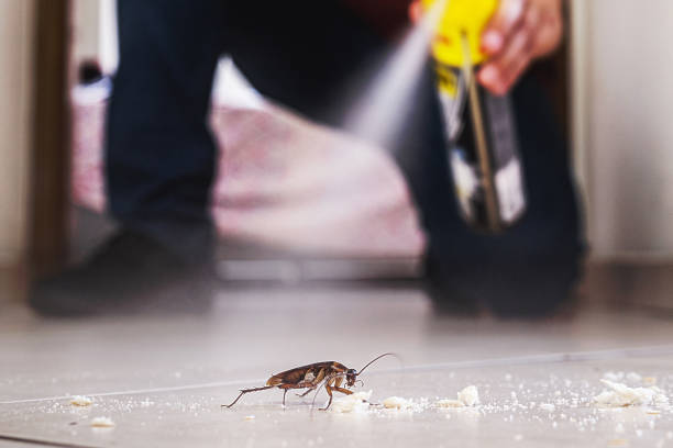 Best Exterminator Services  in Ephraim, UT