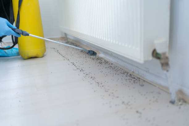 Best Pest Prevention Services  in Ephraim, UT