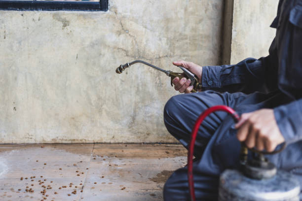 Best Pest Control Near Me  in Ephraim, UT