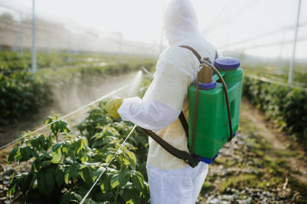 Best Residential Pest Control  in Ephraim, UT